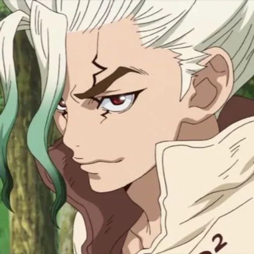 dr stone, dr stone amv, dr stone sank, dr stone subtitles, dr stone with white hair