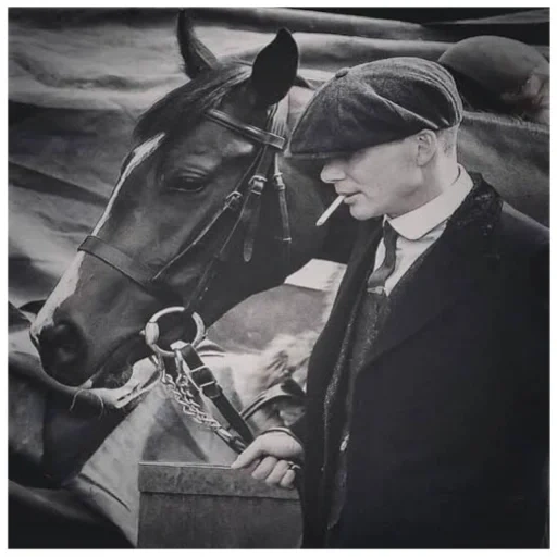 tommy shelby, blinder épouvantable, tommy shelby horse, peaky blinders tommy shelby, visors pointus tommy shelby horses