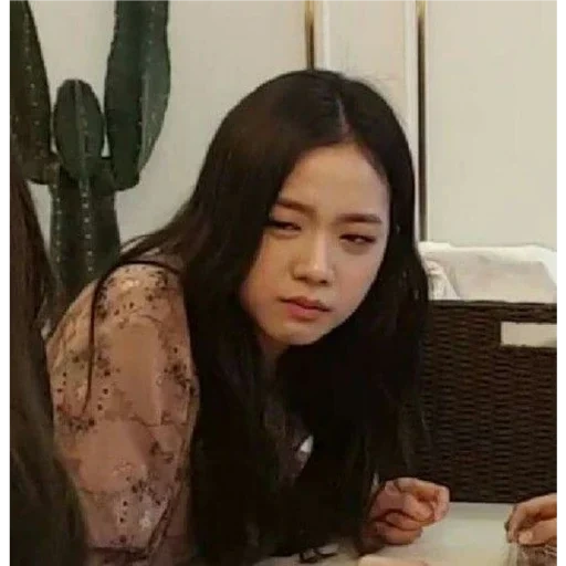 kim ji-soo, jenny king, black powder, jin jixiu meme, jisoo blackpink