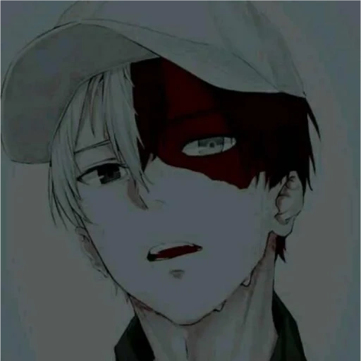 mensch, shoto todoroki, anime todoroki, anime charaktere, todoroki shoto anime