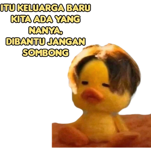 bebek, anak itik, bebek bebek, anak itik lulu, murphy duck