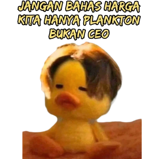 bebek, anak itik, bebek danya, binatang itu konyol, hewan kecil yang menarik