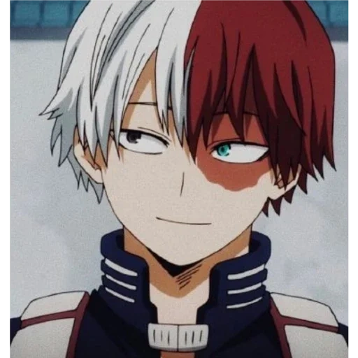 todoroki, todoroki, todoroki shoto, todoroki shoto, personnages d'anime