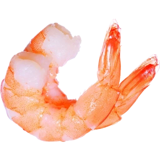 shrimp, креветки, креветки фотошопа, креветка прозрачном фоне, прозрачные креветки белом фоне