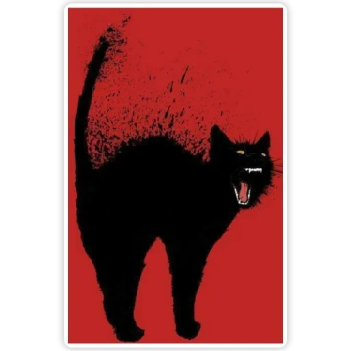 gatto, gatto nero, gatto nero, catto nero malvagio, disegno di gatto nero
