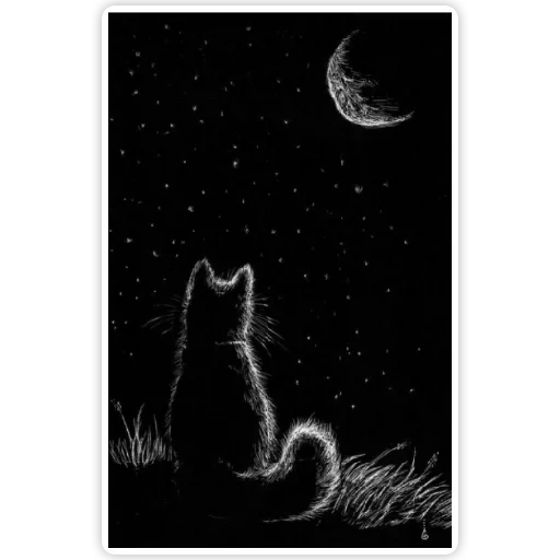 the cat is the background of the moon, the silhouette of a cat background, drawings of black paper, black white graottage cosmos, embroidery pinteric ideas black black black black