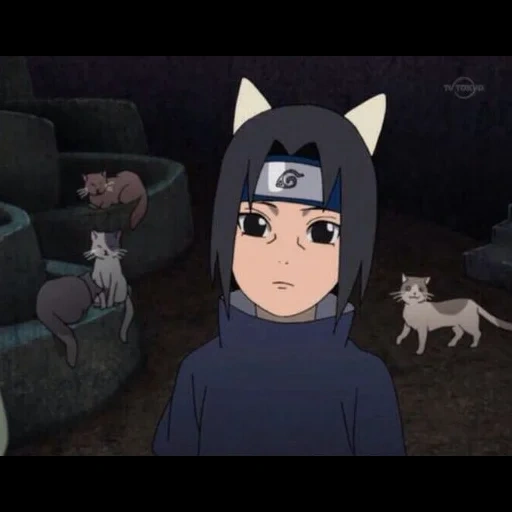 immagine, itachi kotik, orecchie itachi, orecchie itachi uchiha, itachi ai gatti