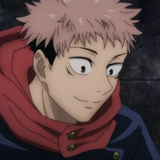 jujutsu, itadori yuji, yuji itadori, jujutsu kaisen, anime characters