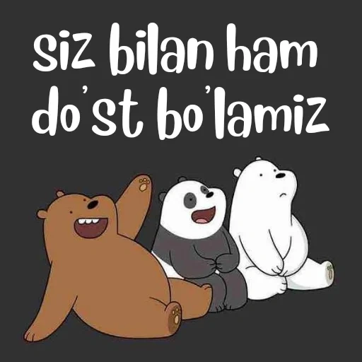 menina, bare bears, we bare bears, estética do urso vermelho, toda a verdade sobre o urso