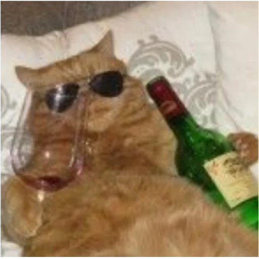кот, армянск, кот вином, кот бухлом, смешные коты