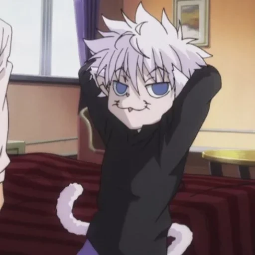 killoi cat, hunter killu, killuo cat anime, killoi zoldik cat, screenshot divertenti di killoi