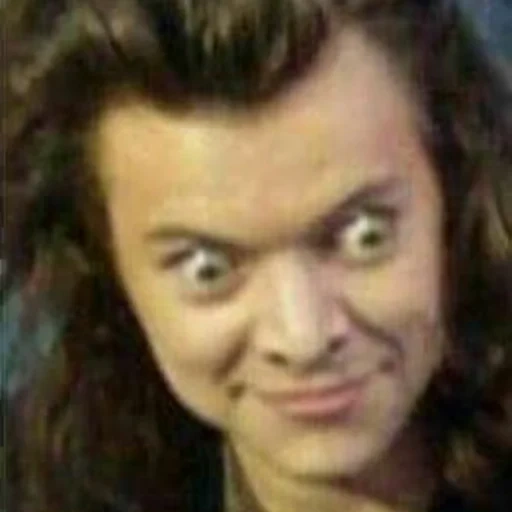 faccia di meme, harry styles, philip kirkorov curly