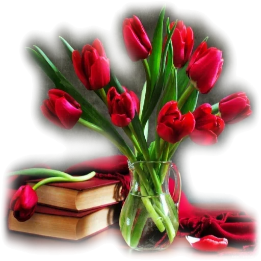 тюльпаны, цветы клипарт, красный тюльпан, букеты тюльпанов, букет красных тюльпанов