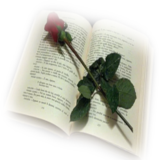 роза книге, библия роза, томик стихов, эстетика розы книги, открытая книга розой