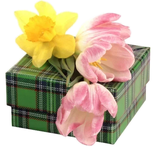 подарок, цветочная, нарциссы букет, весенний подарок, грамота маме 8 марта