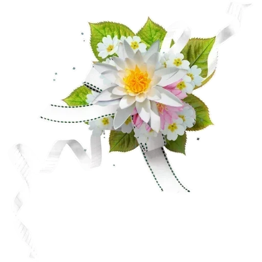 цветы белом, цветы белом фоне, на прозрачном фоне цветы, семейство клипарт флористика, вертикальные цветы прозрачном фоне