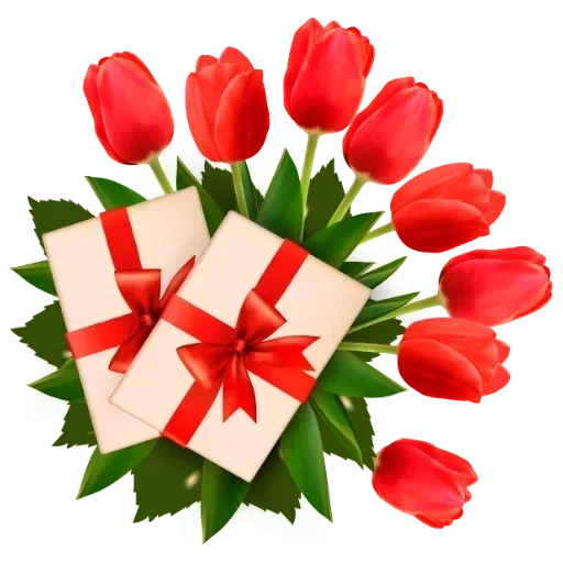женщин 8 марта, тюльпаны букет, красный тюльпан, красные тюльпаны белом фоне, поздравляю всех женщин 8 марта