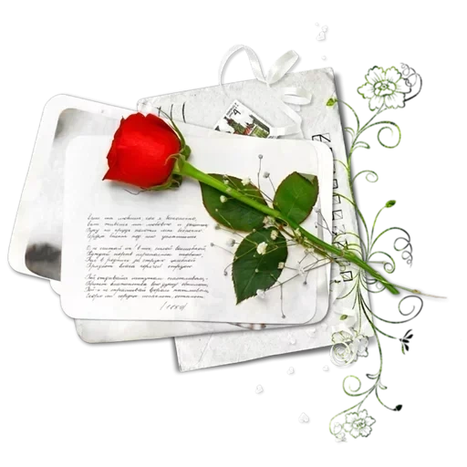 розы, роза книге, благодарю от всего сердца, рука дарит цветы анимация прозрачном фоне