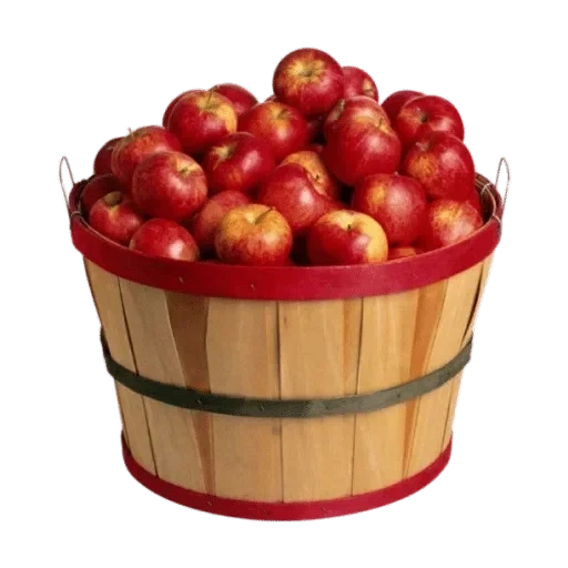 яблочная, apple fruit, яблочный спас, ведро яблоками, яблоки ред бушель