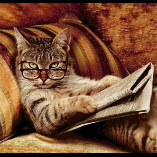 кошка, умный кот, кот ученый, деловой кот, кошки книги картины