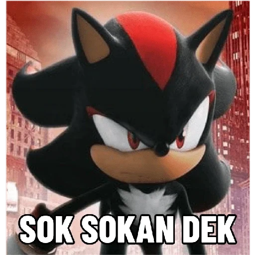 terima kasih, bayangan landak, snow duo hedgehog, sonic shadow landak 2, sonic the hedgehog 2006 shedow