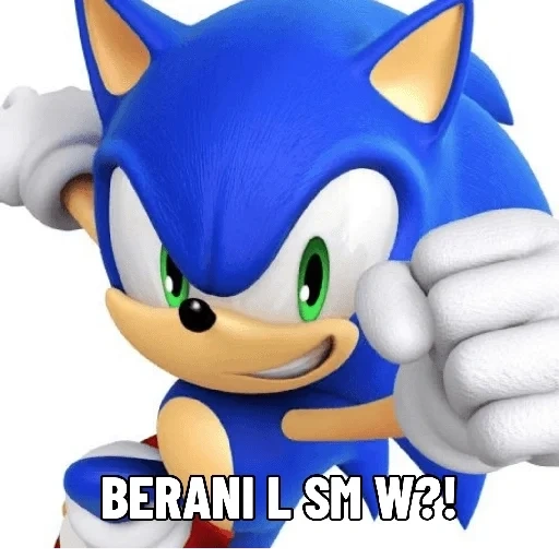 sonic, sonic, sonic the hedgehog, sonic boom, überschall-schallmesser