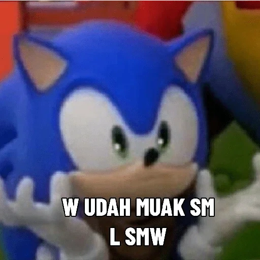 sonic, sonic, sonic boom 2, sonic 2006 memes, frame booming sonic