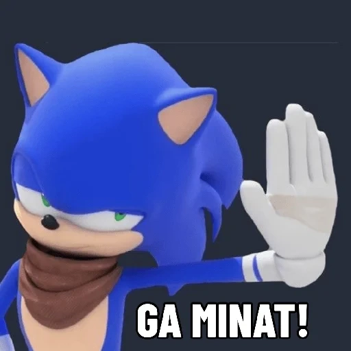 sônica, sonic boom, memema sonic boom, sonic boom pessoal, sonic o ouriço