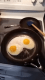 œufs brouillés, omelette 3d, oeufs au plat 4 oeufs, oeufs au plat, animation bonjour