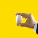 œufs, oeufs des mains, œufs crus, œufs, oeufs à une main