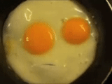 œufs, œufs brouillés, glaçage, œufs, oeufs au plat