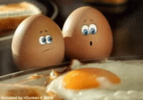 œufs, deux oeufs, œufs, oeufs brillants du matin, bonjour oeufs