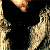 manteaux de fourrure, hommes, people, poils de loup, manteau en fourrure de renard argenté