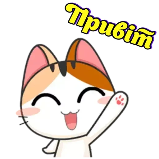 nyasha, chat japonais, meow animated, phoque du japon, chaton japonais