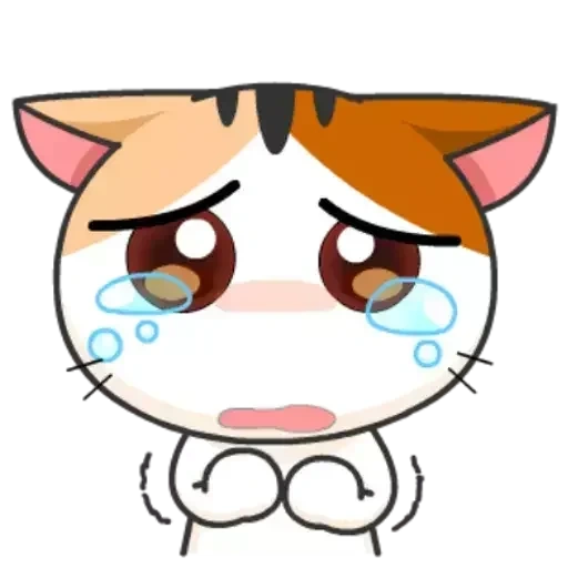 the cat is crying, japanese cat, meow animated, japanese cat