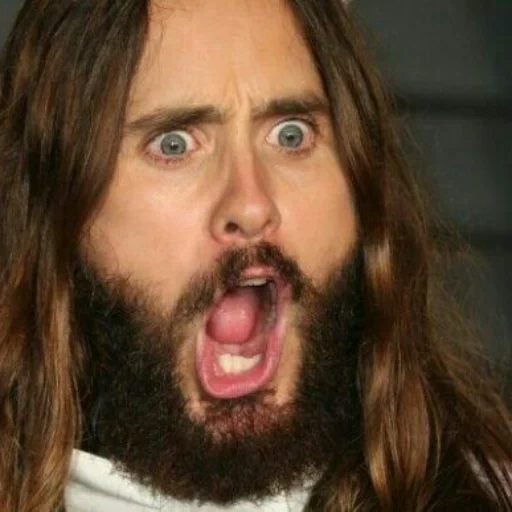 jared, jared leto, barbe d'été jared, jared summer est têtu, jared leto alexander