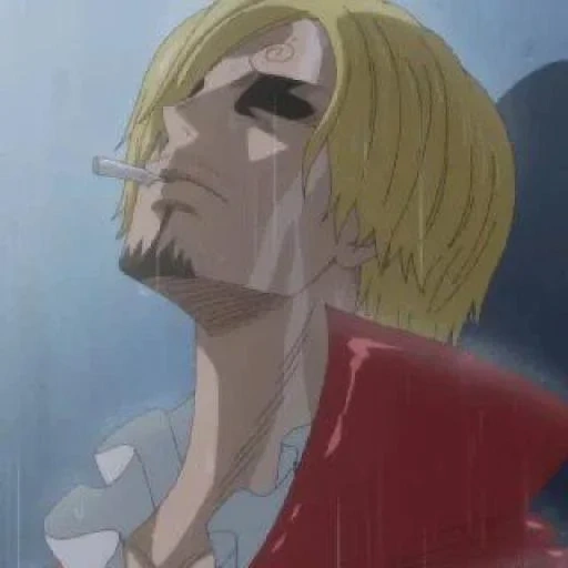 sanjay, van pies, sanji amv, sangi está llorando, van pissangi lloró