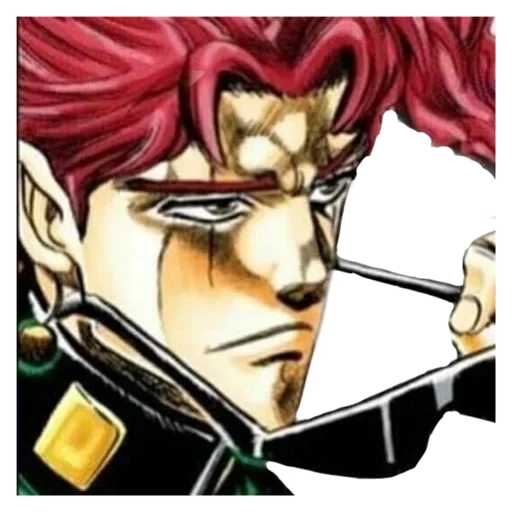 kakyoin, какёин нориаки, какеин нориаки, kakyoin noriaki, наклейки джоджо какёин