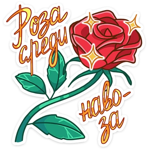 die rosen, rose roter karton, rose red, the beautiful rose, rosa rossa logo