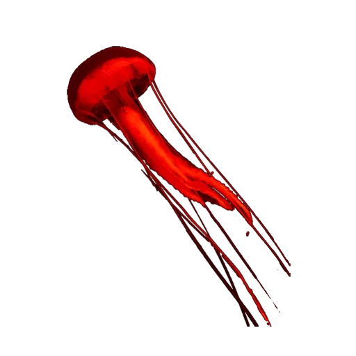 медуза, спрут мини, красная медуза, медуза без фона, черно красная медуза