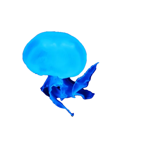 медузы, губка боб квадратные штаны