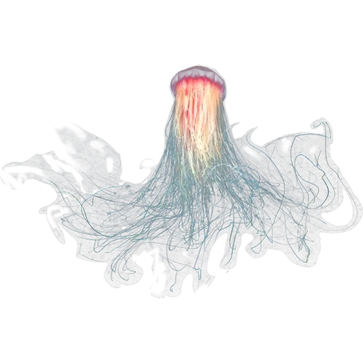 méduse, clipart medusa, méduse avec un fond blanc, méduse est transparente, bob l'éponge carré