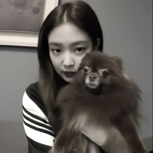 jennie, jenny kim, kim jennie, blackpink jennie, jenny kim dog