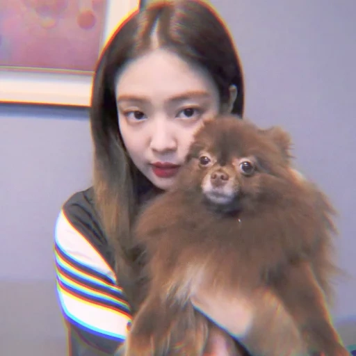 jennie, дженни ким, дженни ким кума, собака дженни кай, собака кай дженни ким