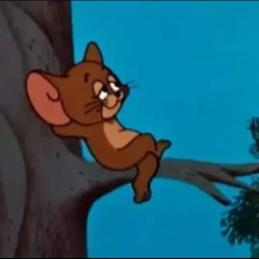 jerry, tom jerry, jerry ratón, pequeño ratón jerry, ratón tom jerry