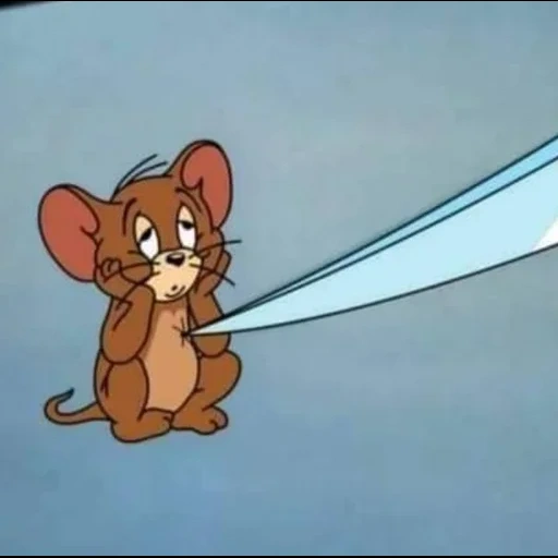 gatto, jerry, tom jerry, sconosciuto, jerry jalava