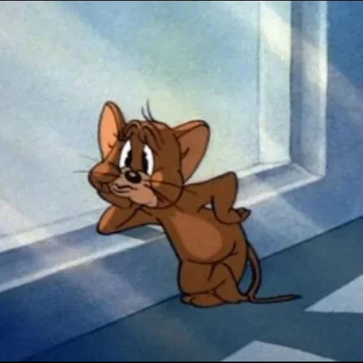 jerry, tom jerry, tom jerry jerry, jerry cartoon tom jerry, little mouse jerry insatisfeito