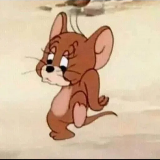 jerry, jerry, توم وجي off, tom jerry, jerry con un pennello