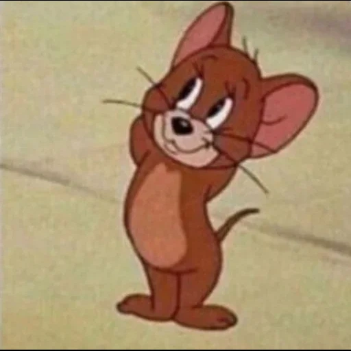 jerry, jerry, tom jerry, jerry's mouse 1975, la souris de jerry est gênée