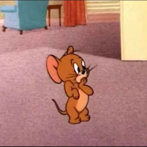 jerry, jerry, tom jerry, mouse tom jerry, la souris de jerry rit